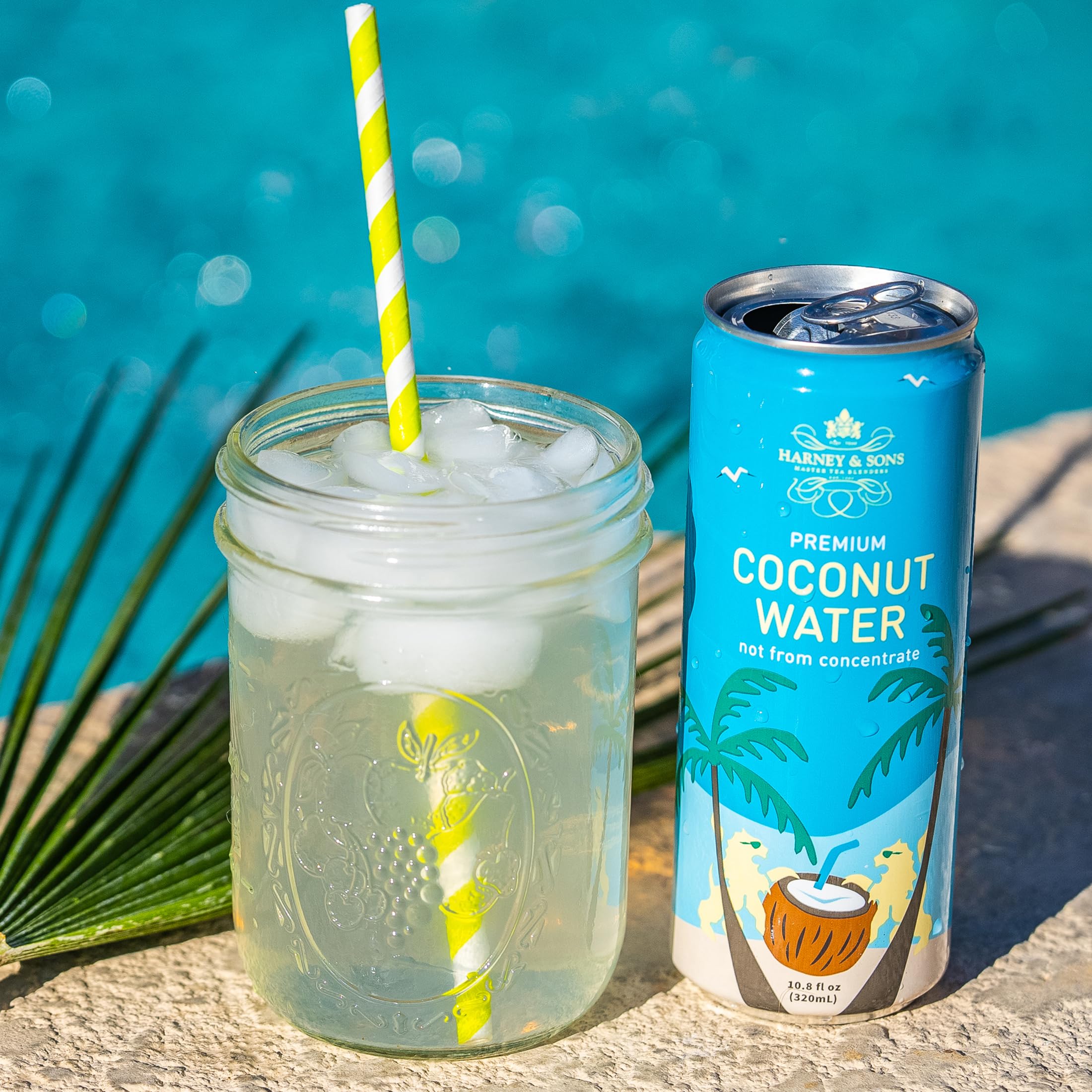 Harney & Sons Coconut Water, Naturally Refreshing, Natural Electrolytes for Hydration, No Preservatives, 10.8 fl oz Cans (Pack of 12) - Image 4