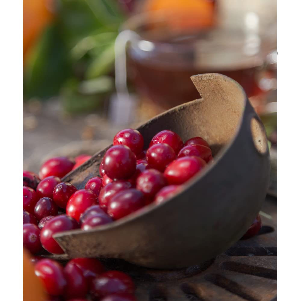 Harney & Sons Cranberry Autumn 30 Count Sachet Tin - Image 4