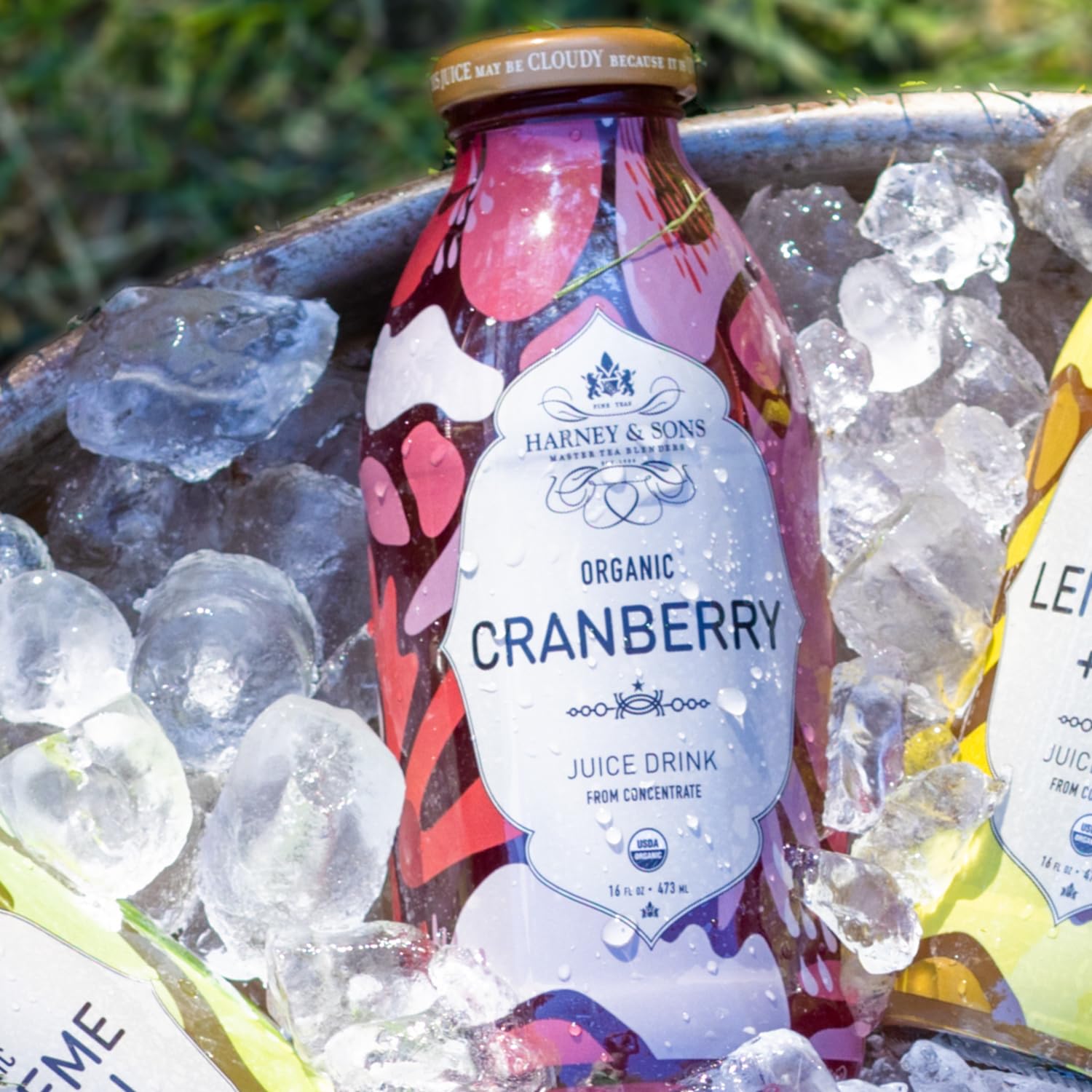 Harney & Sons Juice, Organic Cranberry, 16 Ounce (Pack of 12) - Image 3